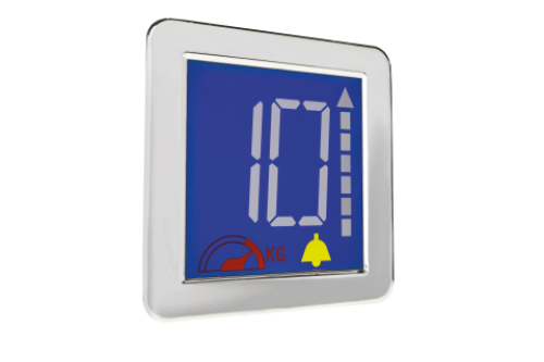 Click Here To Enlarge This Photo Of VEGA Icaro LCD Display